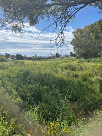 Land in Costalita - view 1