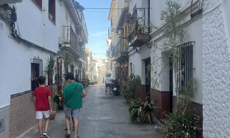 House in Marbella - view 1