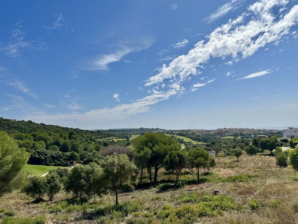 Land in Sotogrande - view 1
