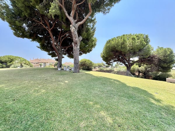 Villa in Elviria - view 1