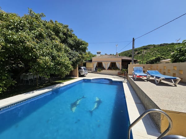 Villa in Casares - view 1