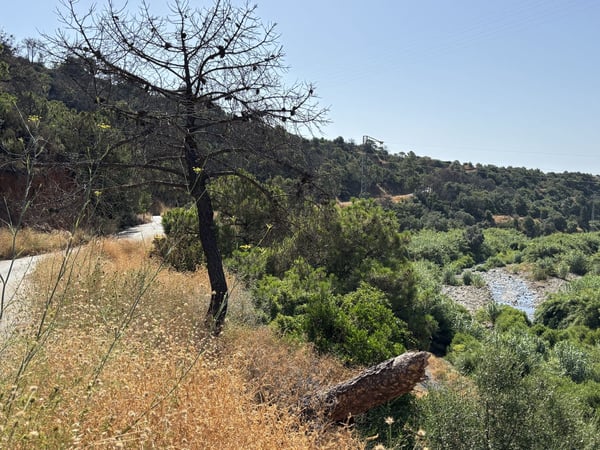 Land in Estepona - view 1