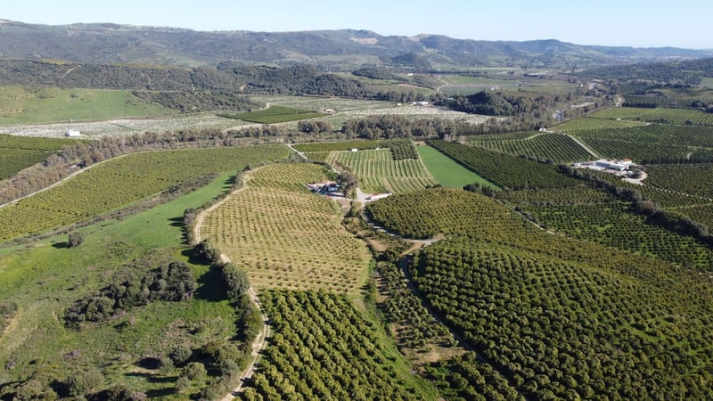 Land in Casares - view 1