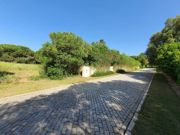 Land in Sotogrande - view 1