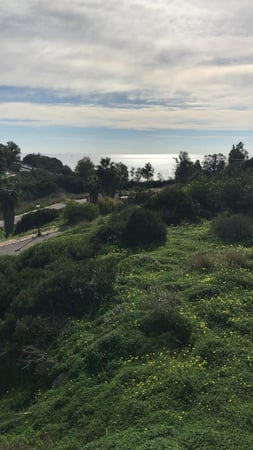 Land in Torre Guadiaro - view 1