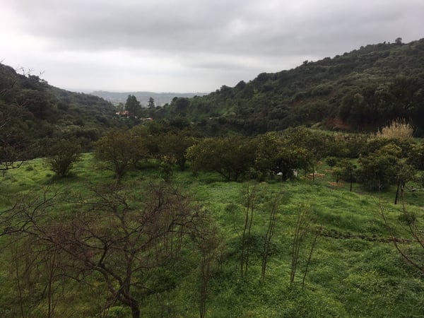 Land in Estepona - view 1