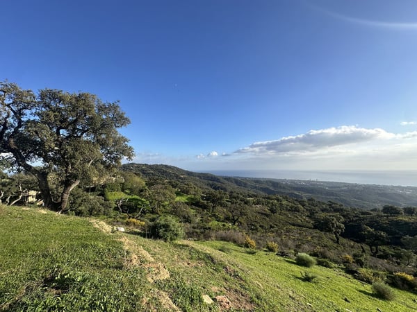 Land in La Mairena - view 1