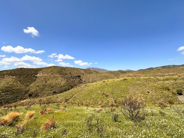 Land in Mijas Costa - view 1