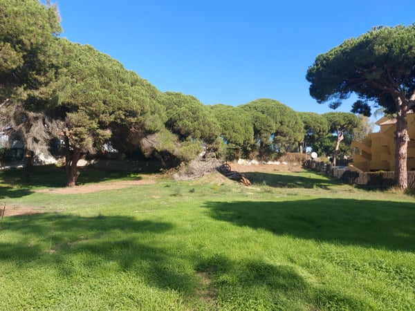 Land in Elviria - view 1