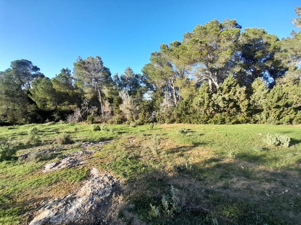 House in Port de Sant Miquel - view 1