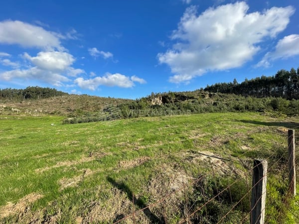 Land in Pinheiro - view 1