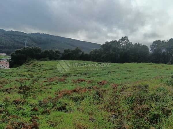 Land in Negrelos (Sao Tome) - view 1