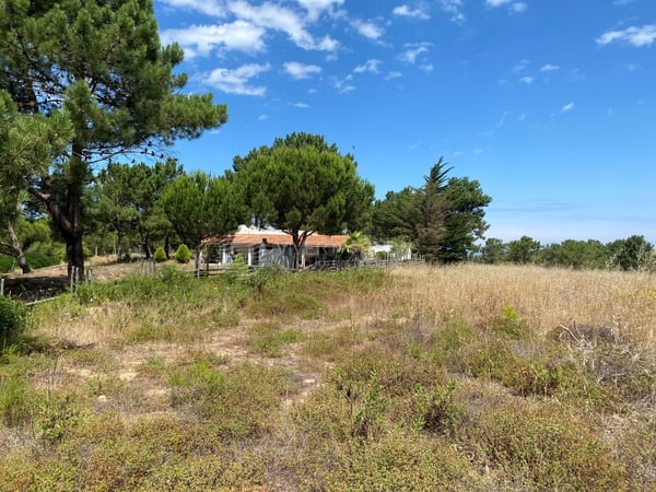 Land in Serra da Azoia - view 1