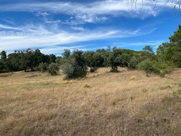 Land in Sesimbra (Castelo) - view 1