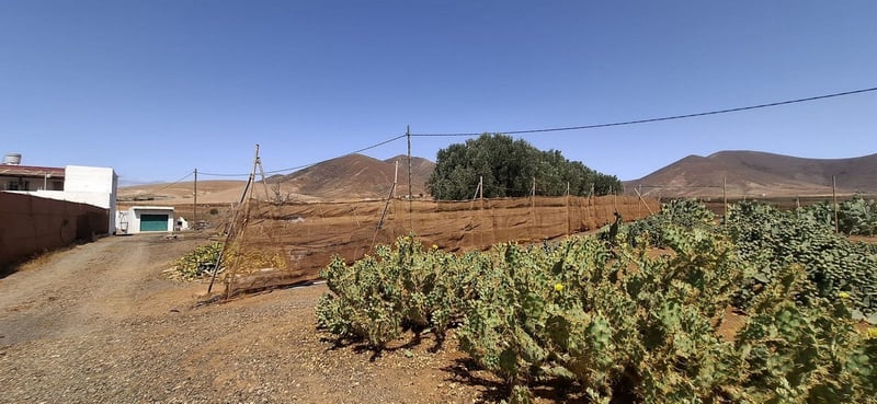 House in Tuineje - view 1