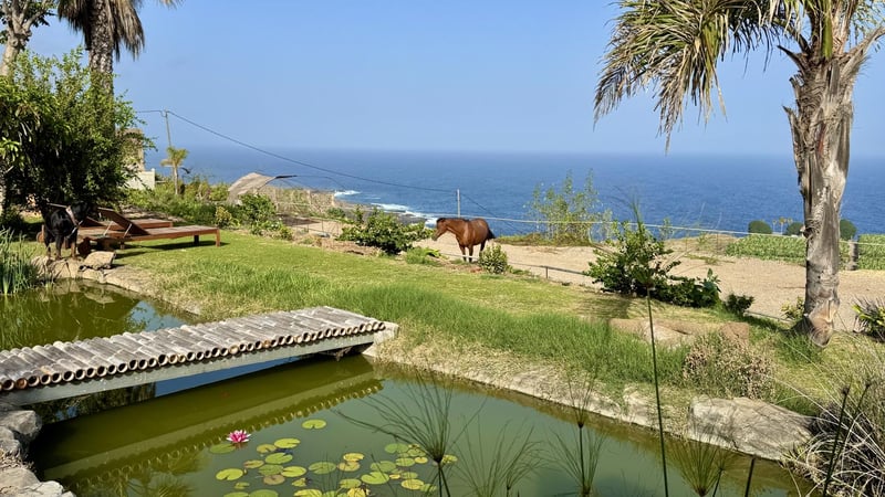 House in Buenavista del Norte - view 1