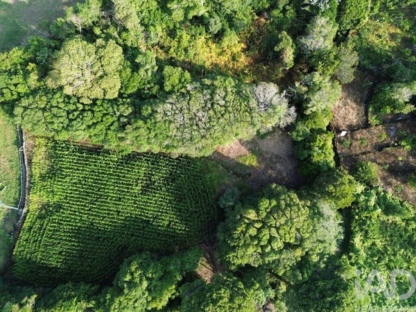 Land in Ribeiras - view 1