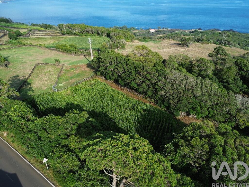 Land in Ribeiras - Image 2