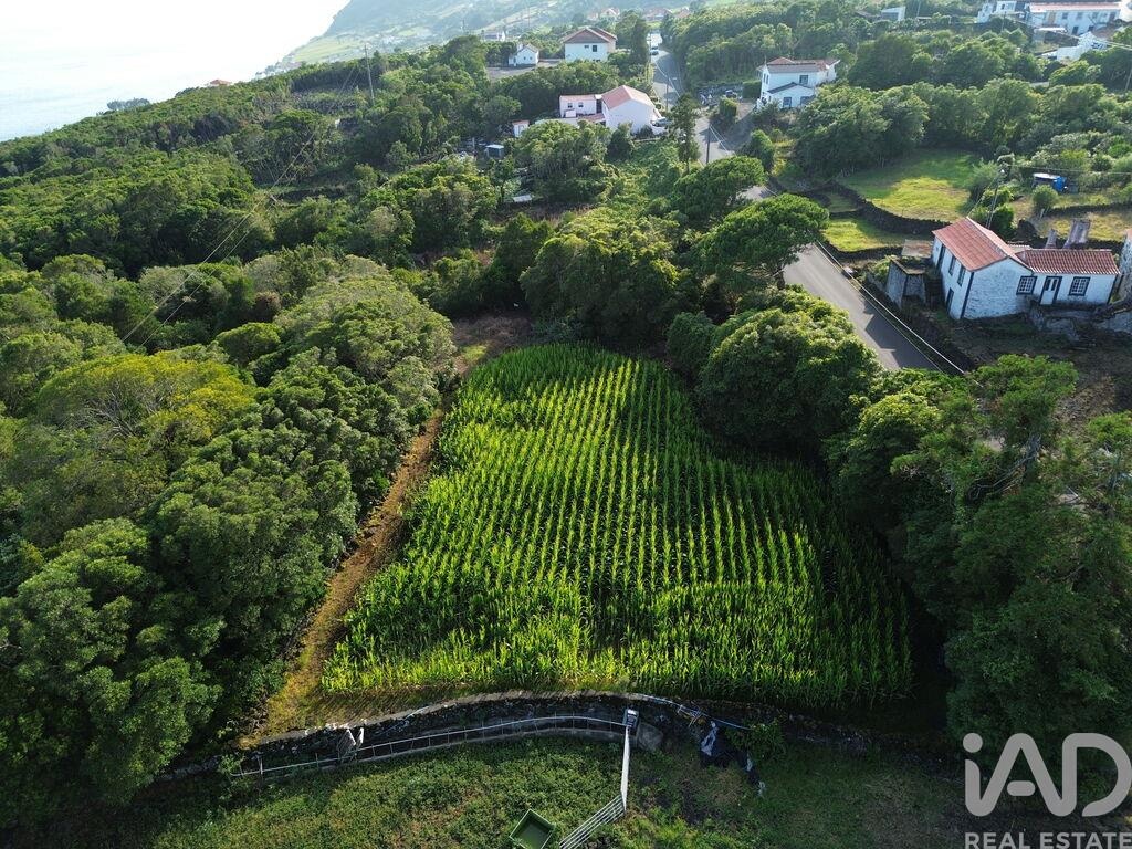 Land in Ribeiras - Image 3