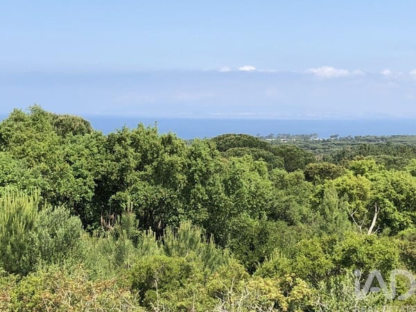 Land in Castelo - view 1