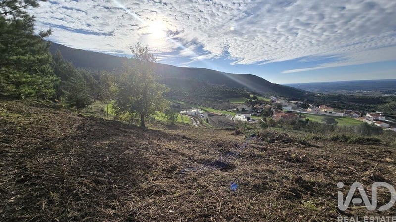 Land in Valbom - view 1