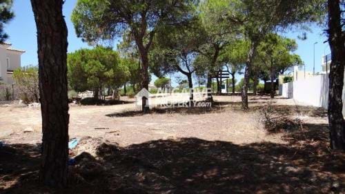 Land in Almancil - view 1