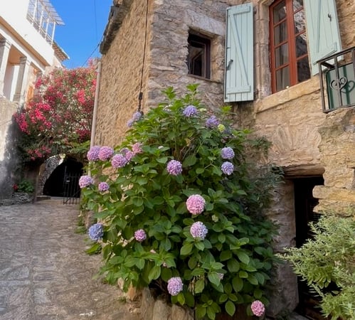 House in Caussiniojouls - view 1