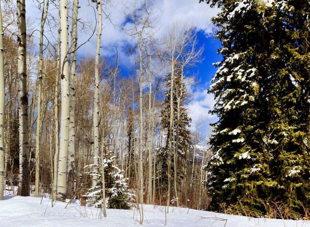 House in Cascade - view 1