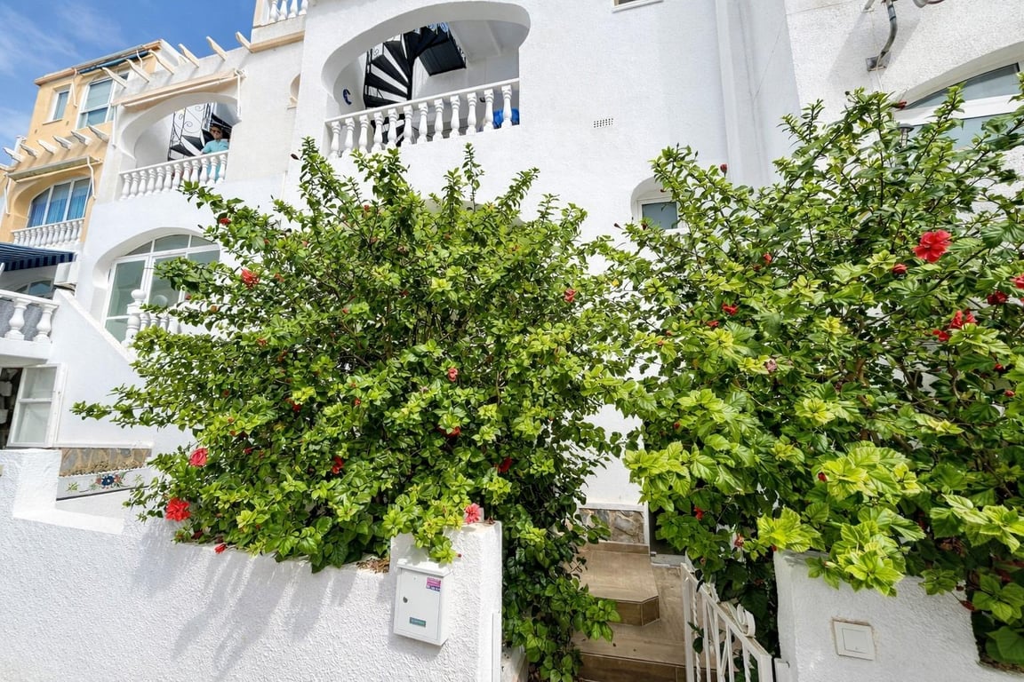 Apartment in Villamartin