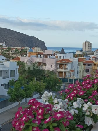 Apartment in Los Cristianos - view 1