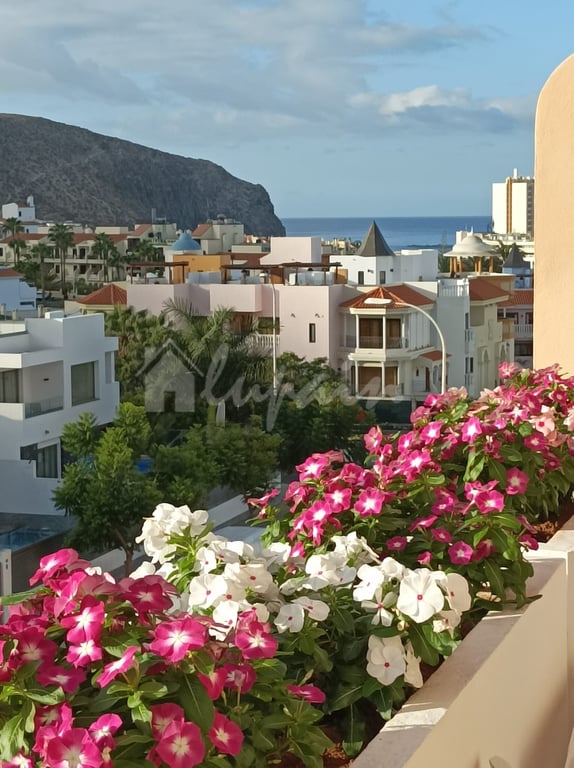 Penthouse in Los Cristianos - Image 2