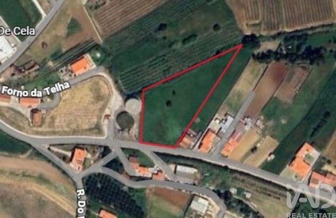 Land in Cela - view 1