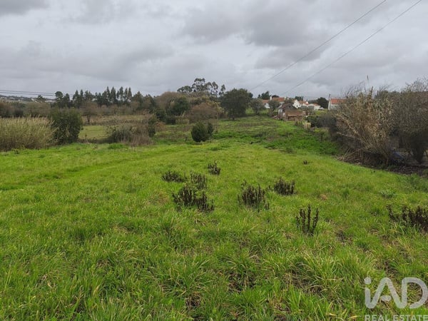 Land in Cela - view 1