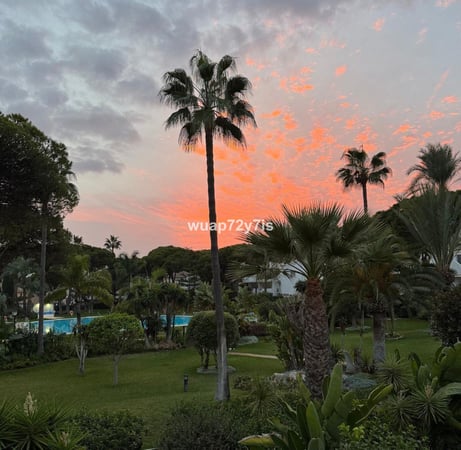 Apartment in Malaga - view 1