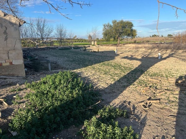 Farm, Ranch or Equestrian in Daya Nueva - view 1
