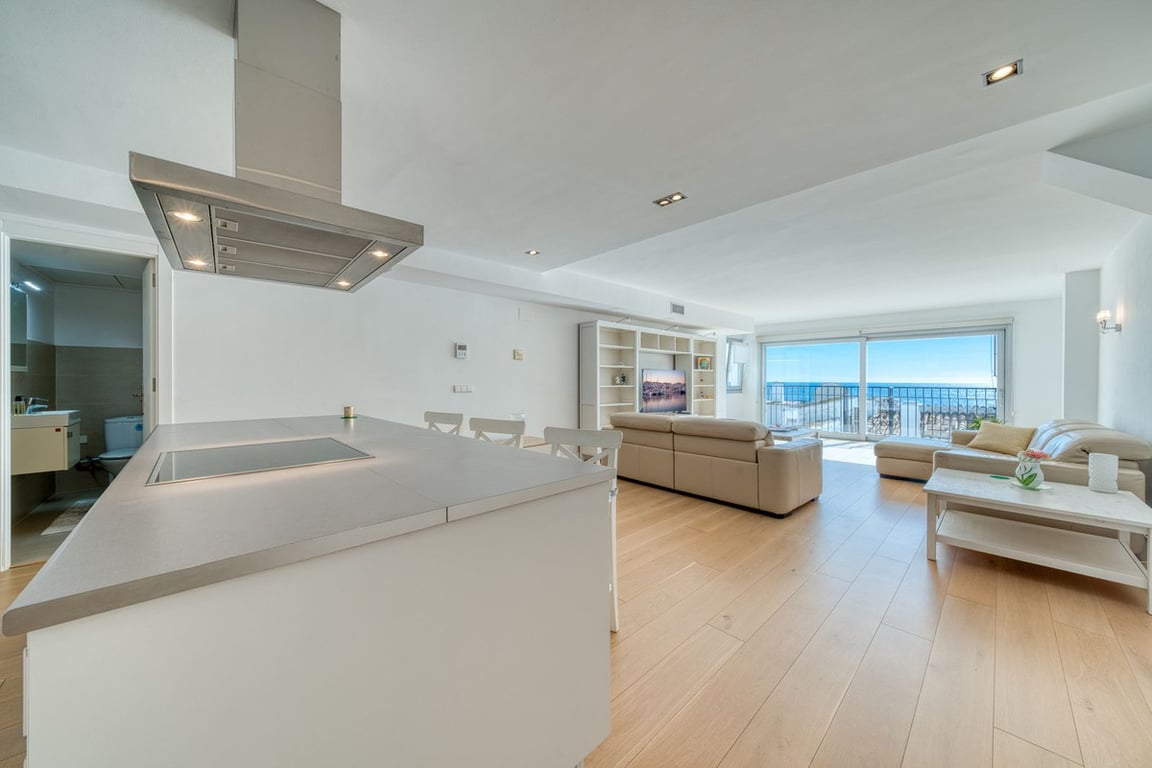 House in Puerto Banus - Image 2