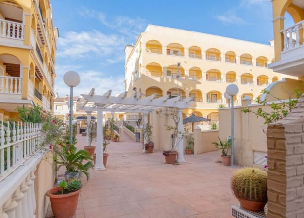 Apartment in Algorfa - view 1