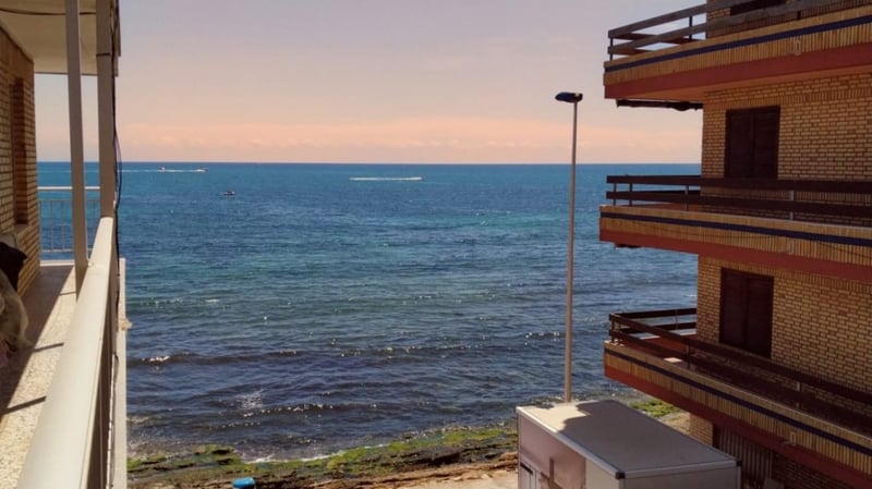 Apartment in Torrevieja - view 1
