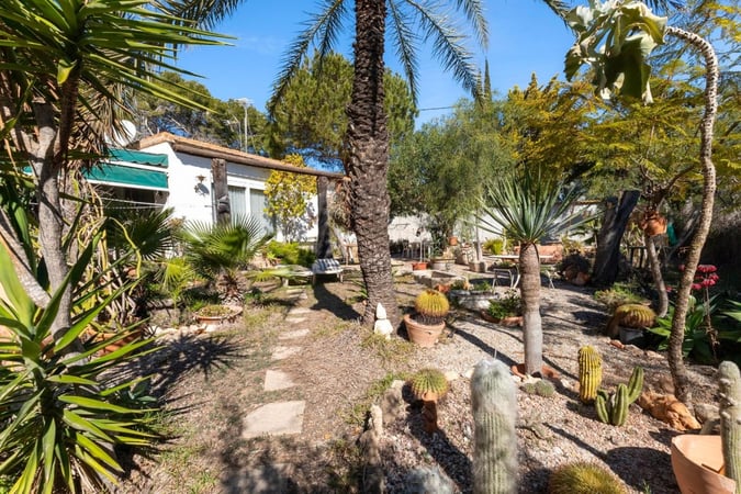 House in Dehesa de Campoamor - view 1