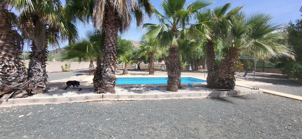 House in La Romana - Image 3