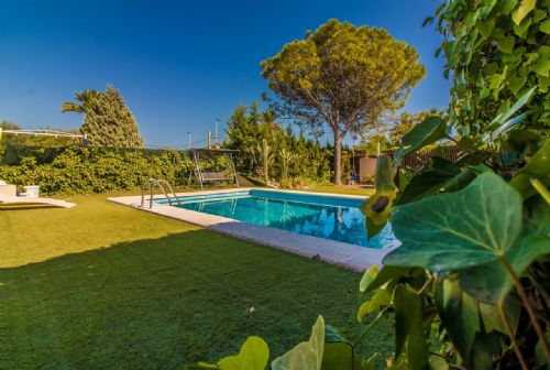 House in Elche - Image 2