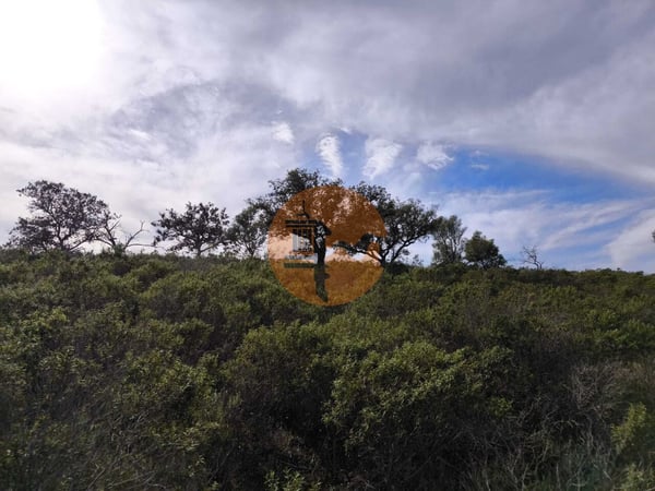 Land in Castro Marim - view 1