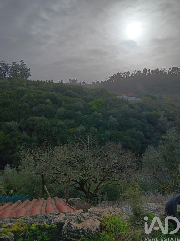 House in Aljubarrota - Image 3