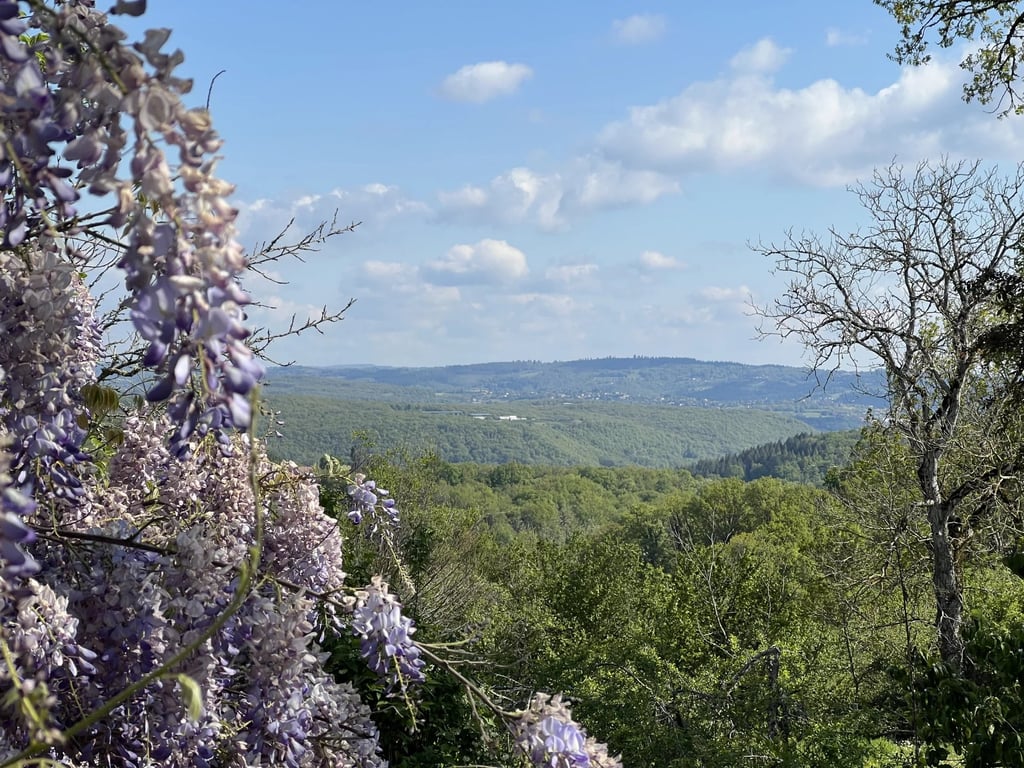 House in Beduer - Image 2
