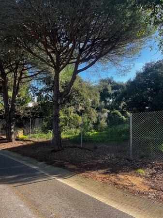 Land in Sotogrande - view 1