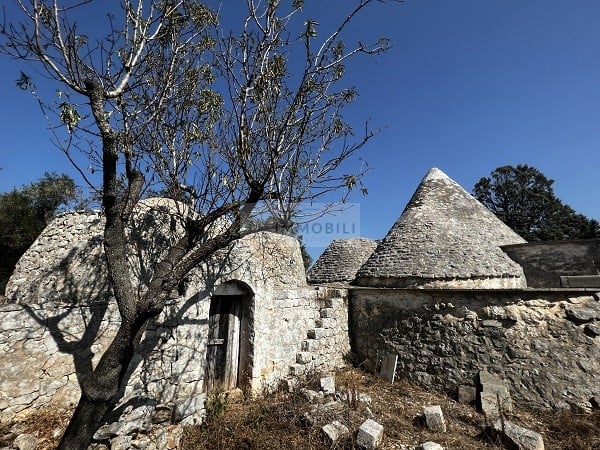 Land in Carovigno - view 1