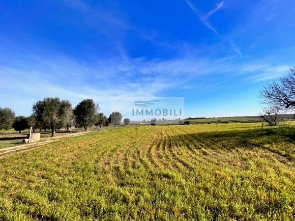 Land in Carovigno - view 1