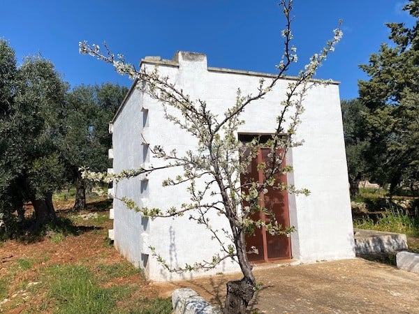 Land in Carovigno - view 1