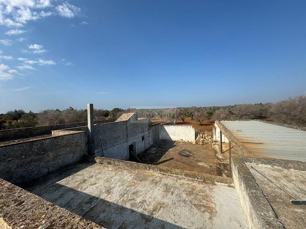 House in Carovigno - view 1