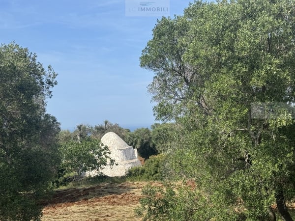 Land in Carovigno - view 1